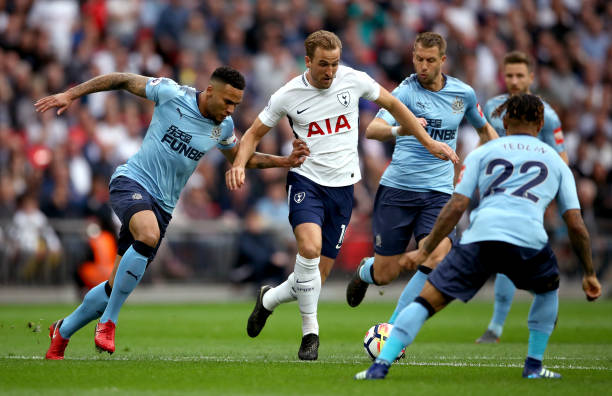 成功收获胜 成功收获胜